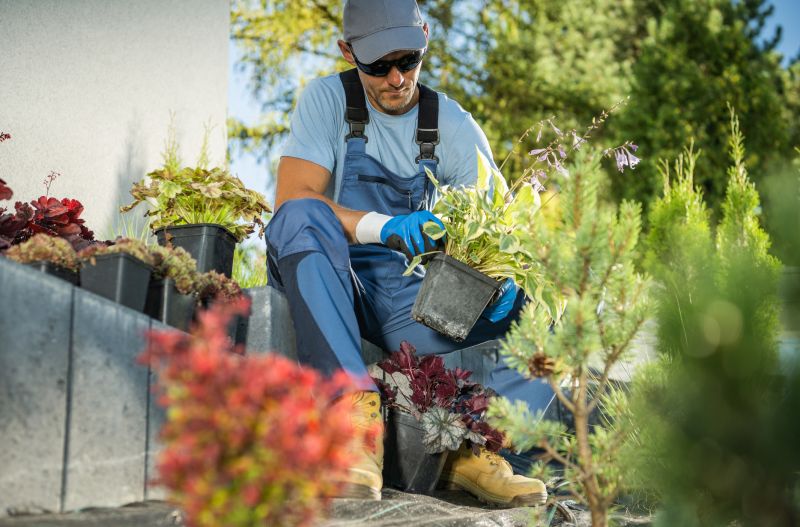 Peony Planting