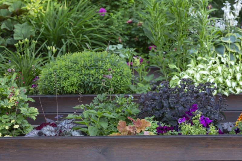 Garden Bed Creation